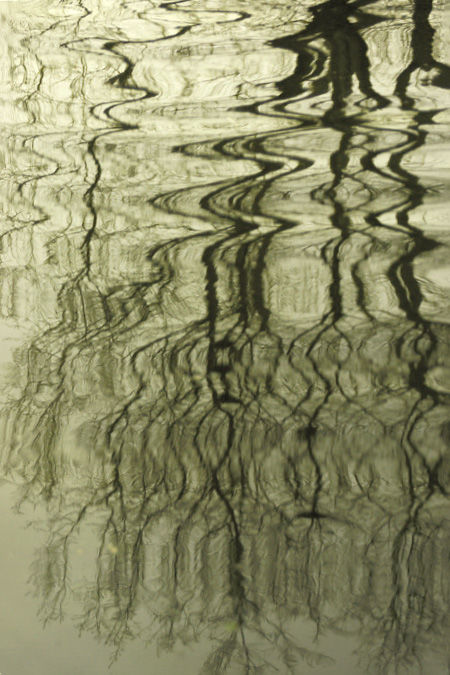 1615892073109438.jpg 16.jpg