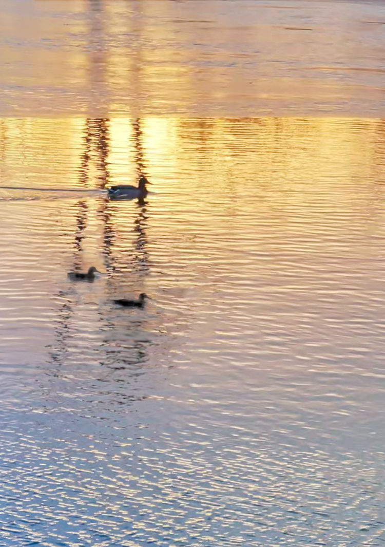 1615892082178926.jpg 17.jpg