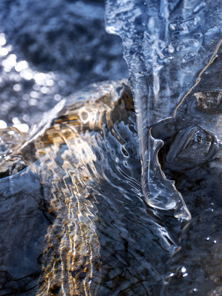 1615892091179657.jpg 18.jpg