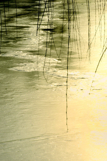 1615892114129908.jpg 21.jpg