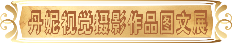 展厅边框2 (0-00-00-00) (0-00-00-0.png