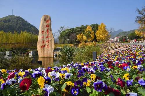 1617089063149363.jpg 微信图片_20210328001742.jpg