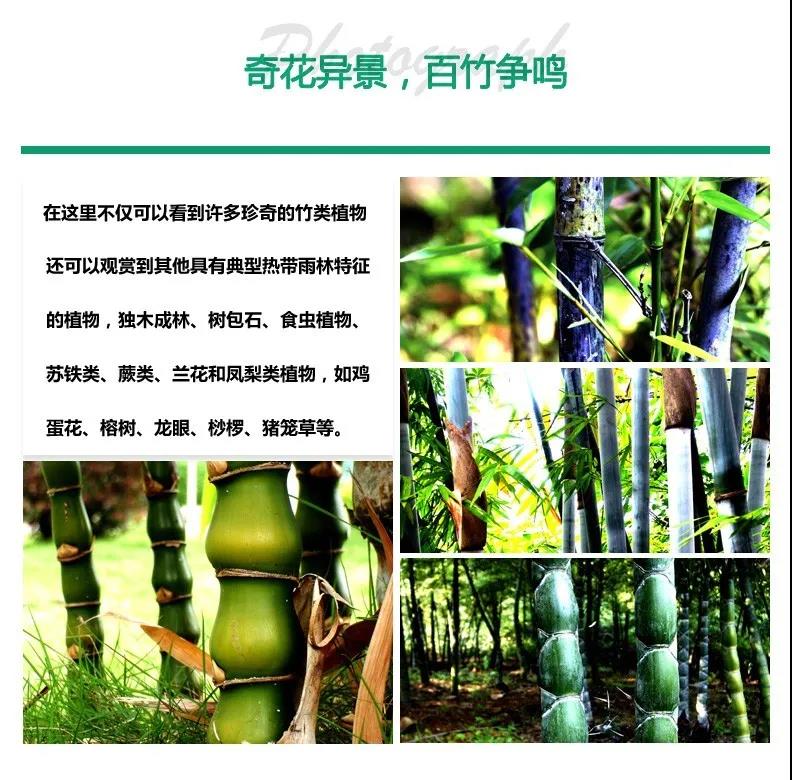 1617089209135270.jpg 微信图片_20210328001812.jpg