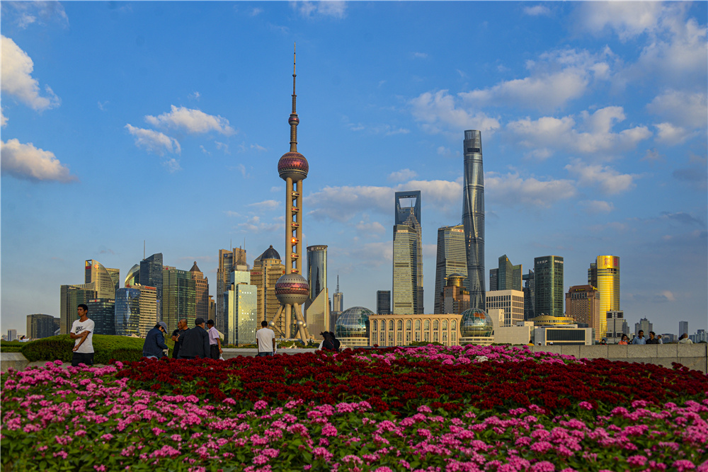 1617938875713768.jpg 3.jpg