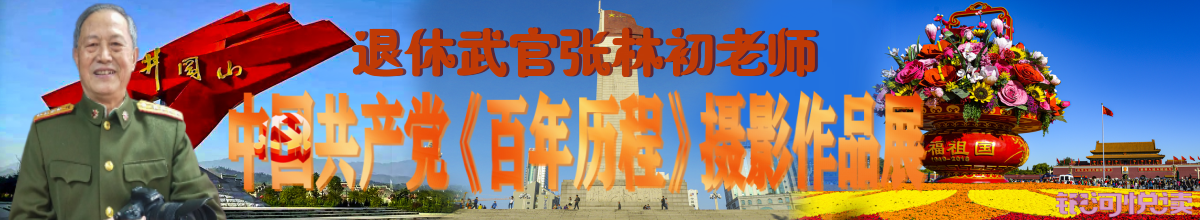 1618025093125777.png 张林初.png