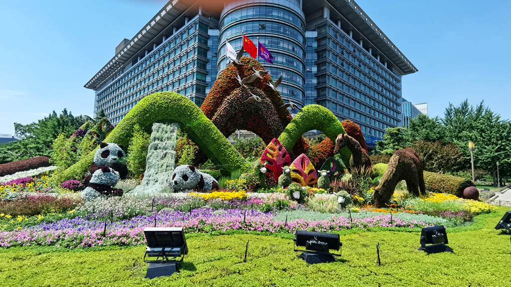 1624630080389394.jpg 从8.jpg