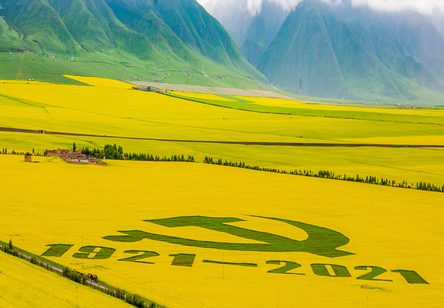 重阳节《千秋伟业》    罗匡龙   摄 拍摄地;青海门源  拍摄时间;2021.06.30电话：  13870278266.jpg