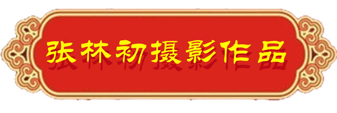 1634124178583553.jpg 02.jpg