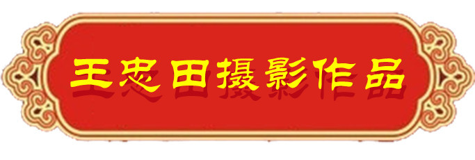 1634124351137185.jpg 03.jpg