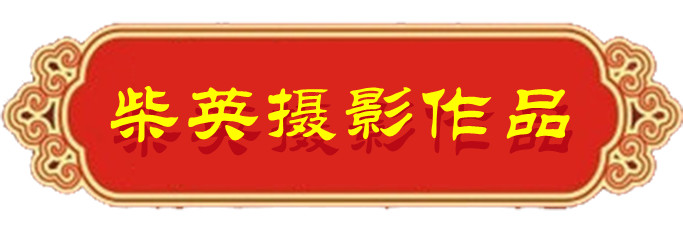 1634124561334572.jpg 01.jpg