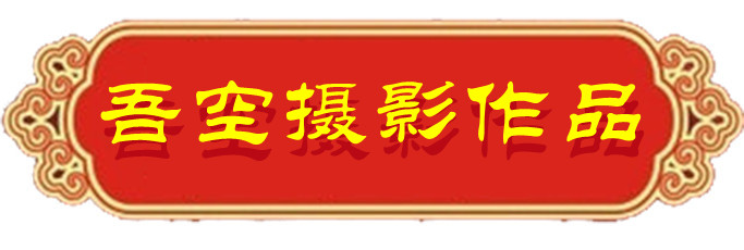 1634124582865670.jpg 04.jpg