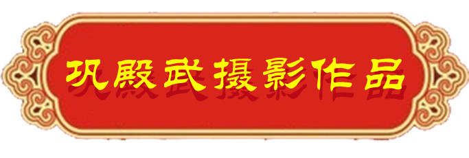 1634124727383284.jpg 05.jpg