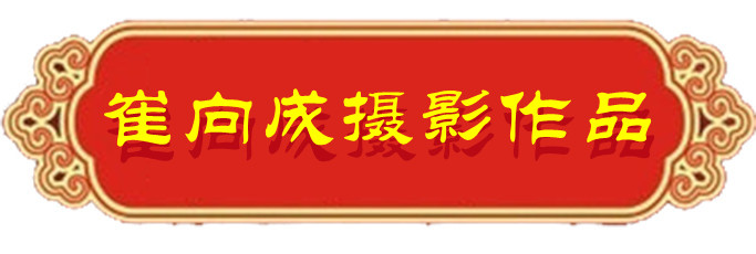 1634124854634073.jpg 06.jpg