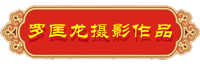 1634125252385134.jpg 07.jpg