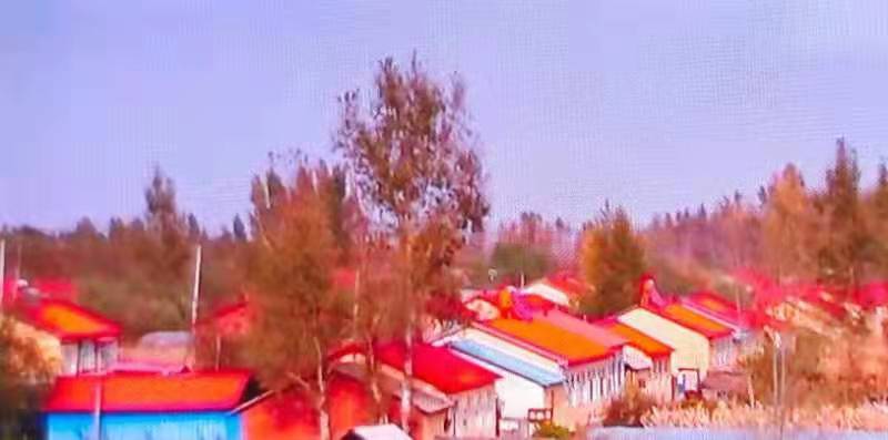 1636507096400582.jpg