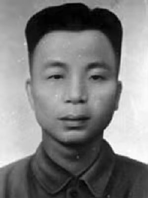 图片9龙树林像.png