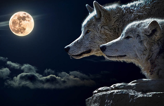 1637282017348127.jpg 1637282017348127.jpg