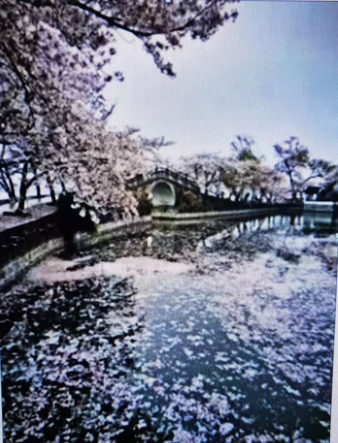 微信图片_20210718090529.jpg