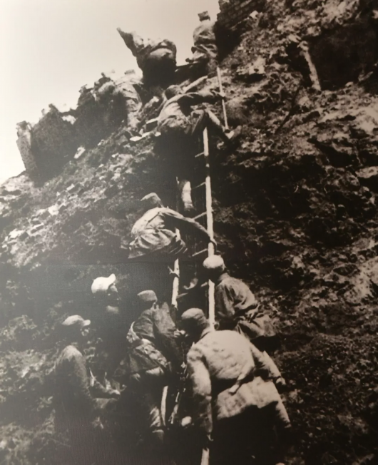 1641540036304665.png 1641538162386898.png