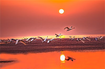 1641618973533809.png 0001.png