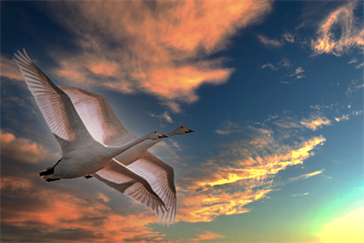 1641619032112355.png 0003.png