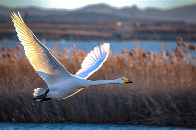 1641619073115295.png 0005.png