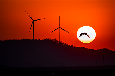 1641619100921310.png 0007.png