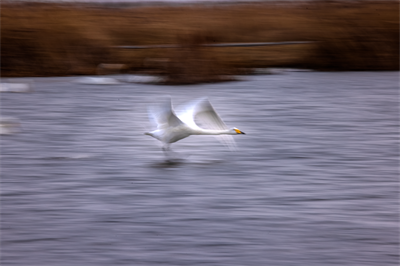 1641619172535315.png 0013.png