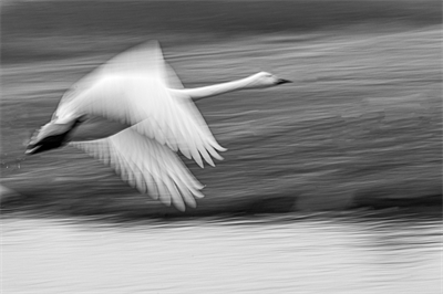 1641619188524514.png 0015.png