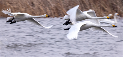 1641619232118143.jpg 0020.jpg