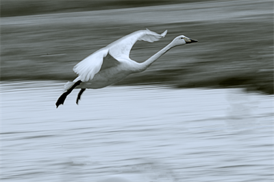 1641619260194977.png 0021.png