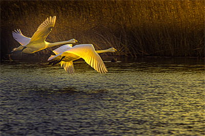 1641619272829394.png 0023.png