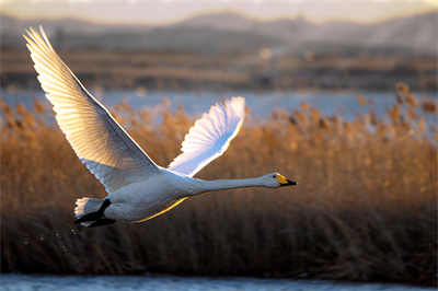 1641619313941707.png 0027.png