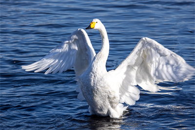 1641619617149578.png 0045.png