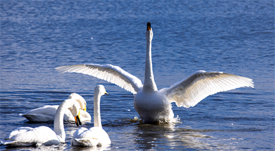 1641619630966450.png 0047.png