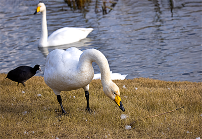 1641619644101159.png 0048.png