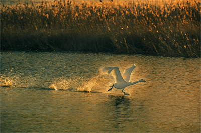 1641619691499254.png 0051.png