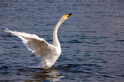 1641619706944977.jpg 0052.jpg