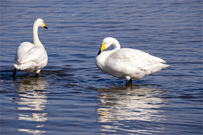 1641619783181680.png 0059.png