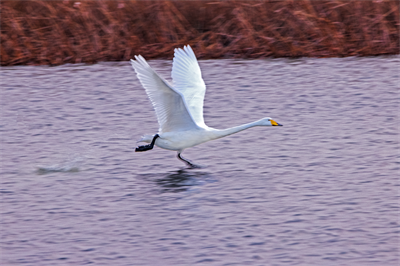 1641619831720265.png 0063.png