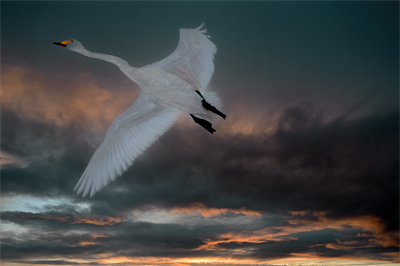 1641619993129723.png 0072.png