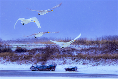 1641620028121960.png 0073.png