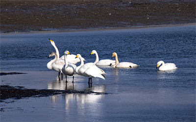 1641620213111228.png 0087.png