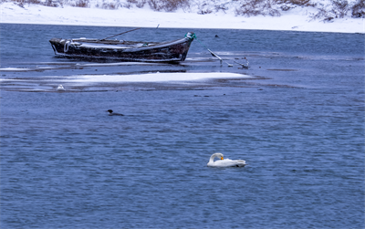 1641620227554679.png 0089.png