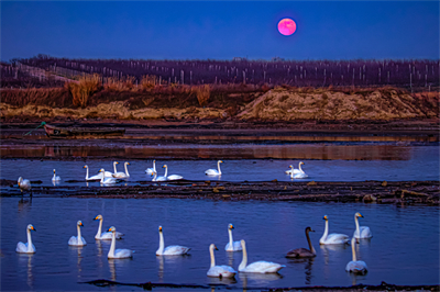 1641620282769494.jpg 0097.jpg