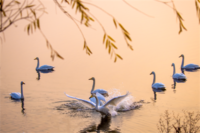 1641620306486000.png 0100.png