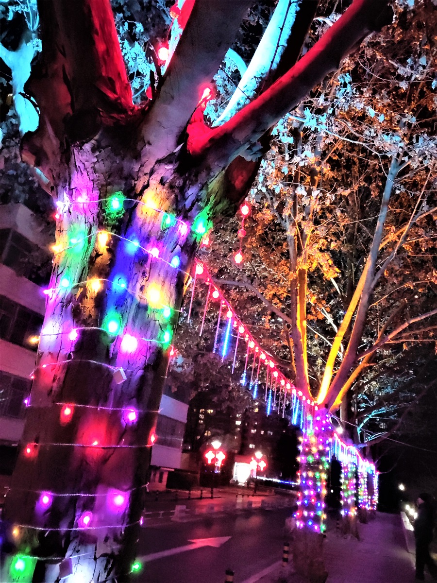 IMG_20220128_202317 (2).jpg