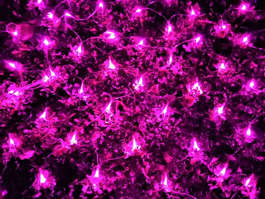 IMG_20220202_203851 (2).jpg