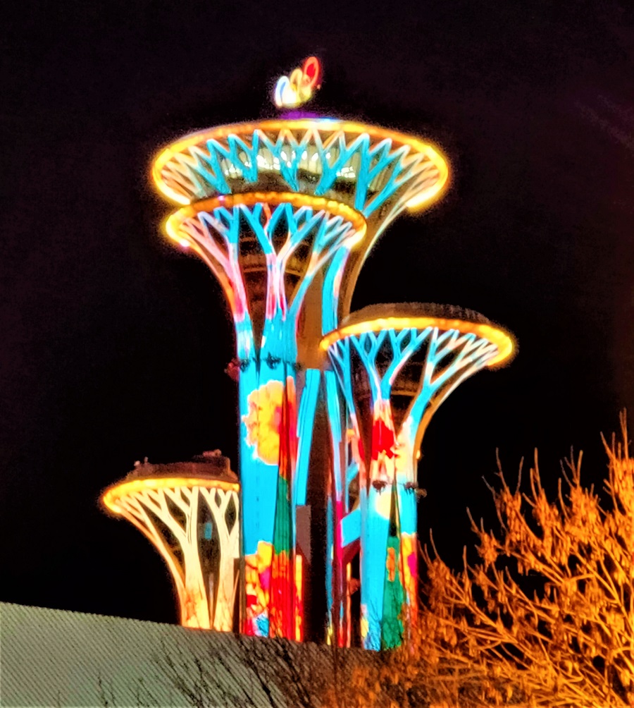 IMG20220204194449 (2).jpg