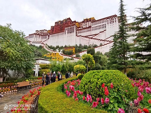 1644198682135291.jpg 11.jpg